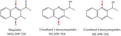 Mechanisms of the Testis Toxicity Induced by Chronic Exposure to Mequindox